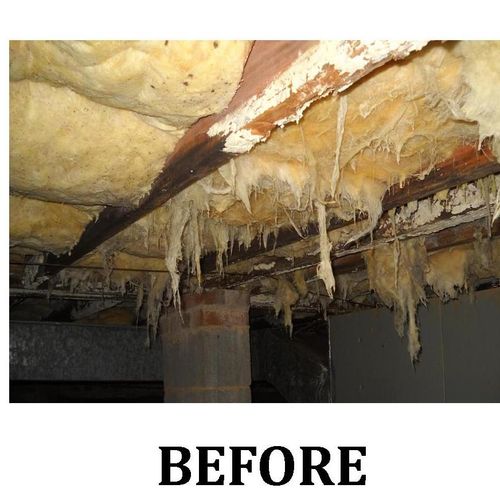 Crawlspace - before remediation