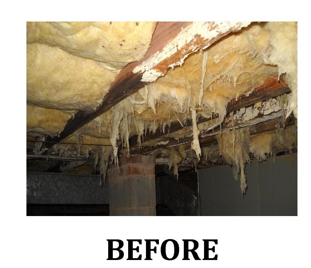 Crawlspace - before remediation