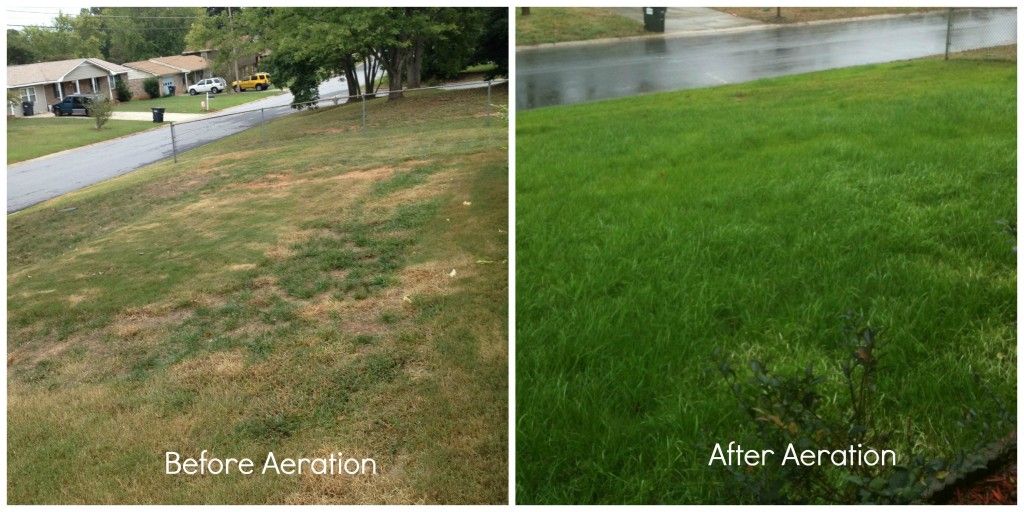 Aeration and overseeding