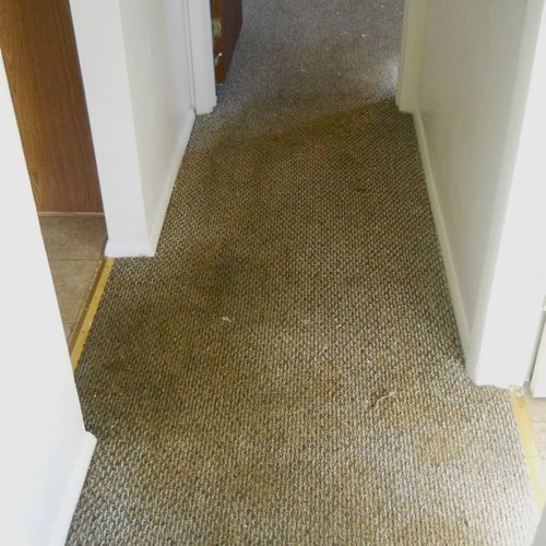 Urine soaked berber carpet...BEFORE
