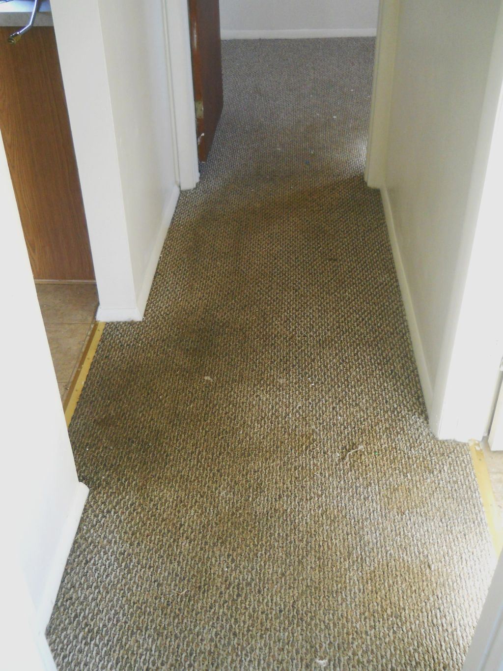 Urine soaked berber carpet...BEFORE