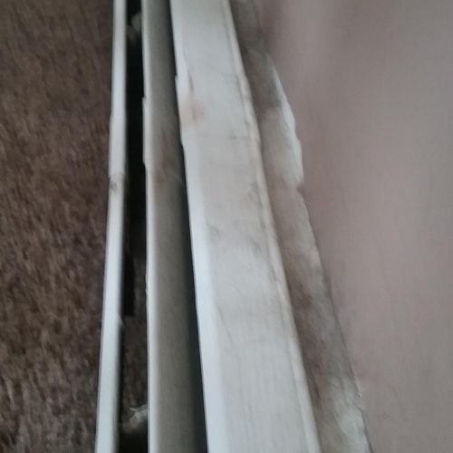 Fur and dust build up along top of baseboards, com