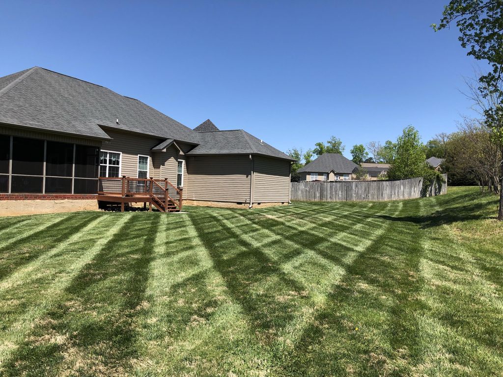 Shade Tree Lawn Management