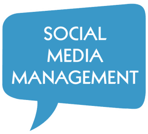 Professional Social Media Management