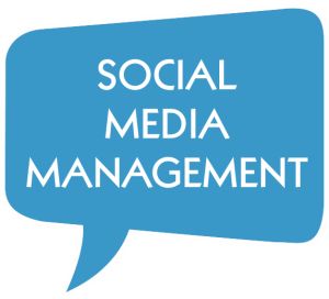 Professional Social Media Management