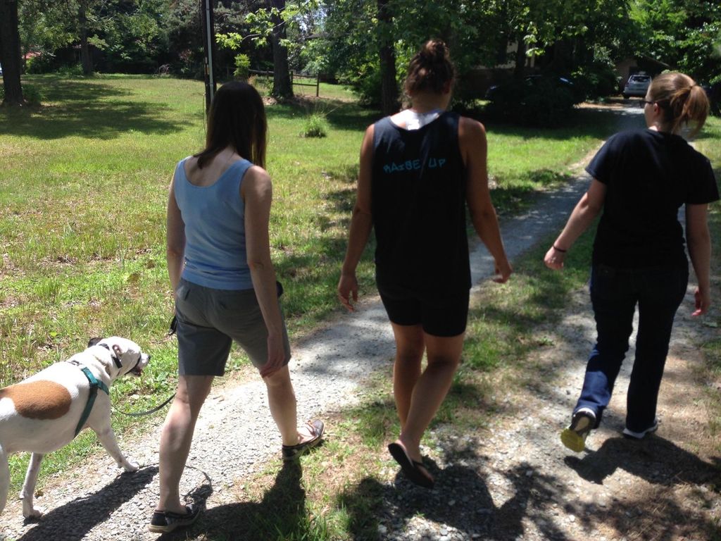 This dog was fear-aggressive, pulled on the leash,