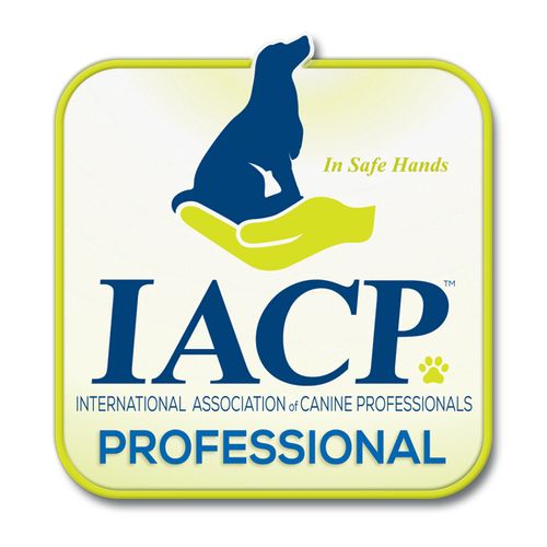 IACP-CDT (Certified Dog Trainer)