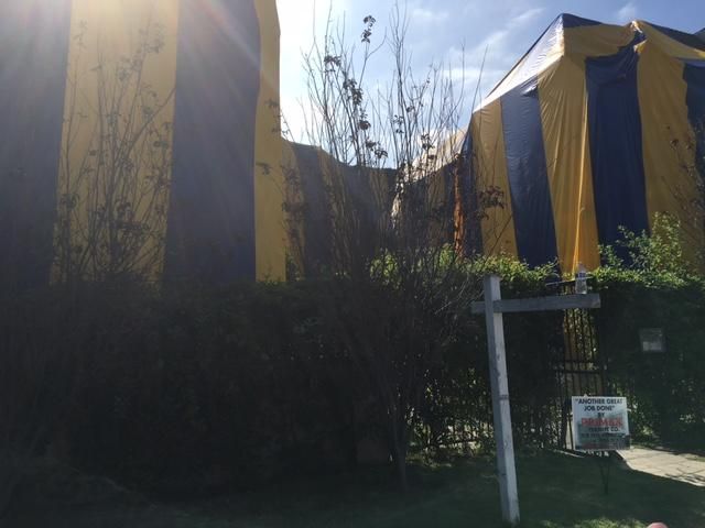 8 Unit building during fumigation process.