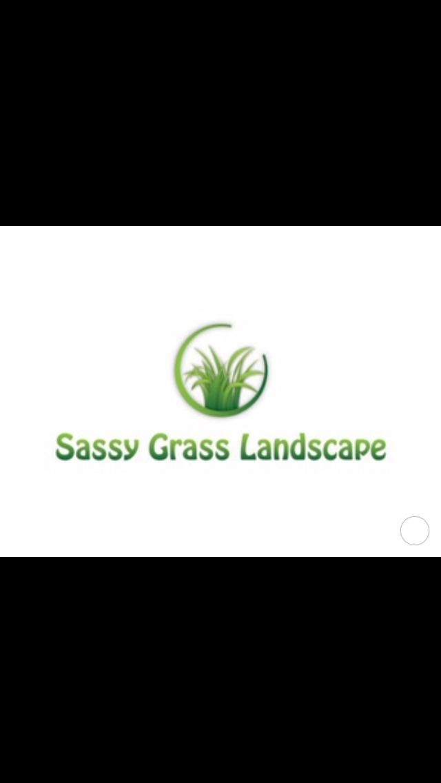 Sassy Grass Landscape