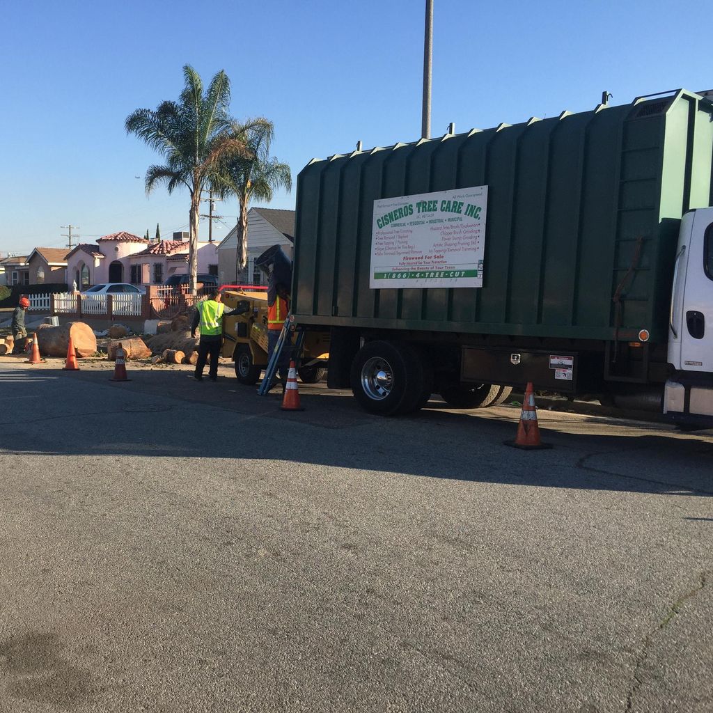 Cisneros tree care inc