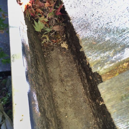 We remove all gutter debris by hand and always pic