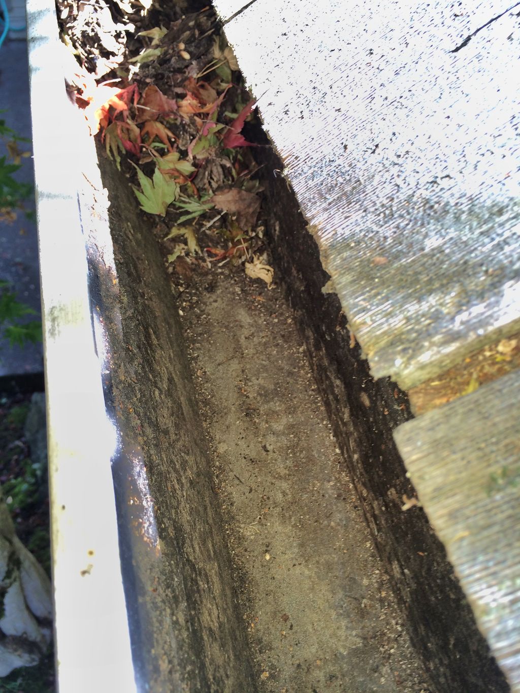 We remove all gutter debris by hand and always pic