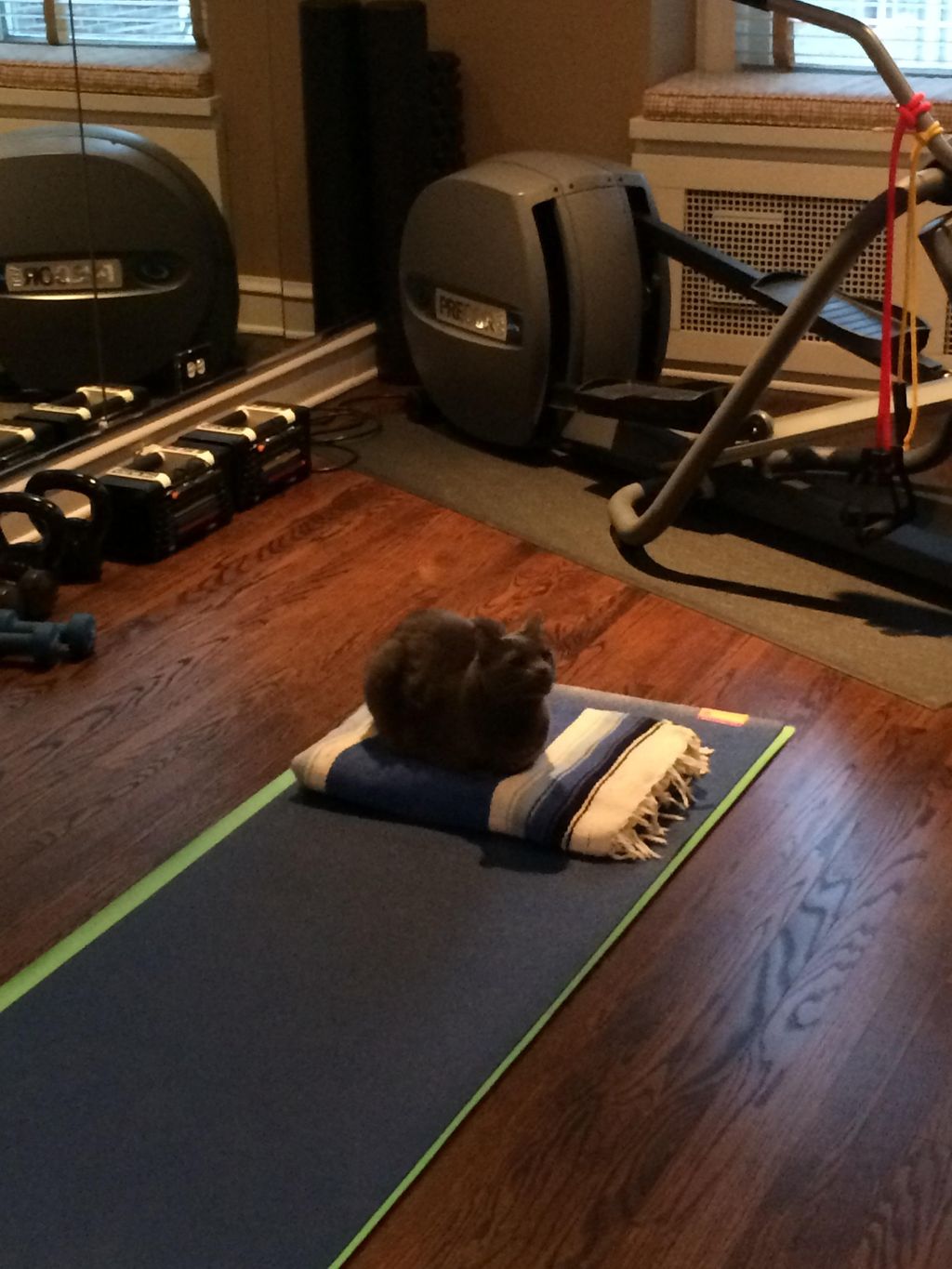 IN HOME - we LOVE & WELCOME all support.