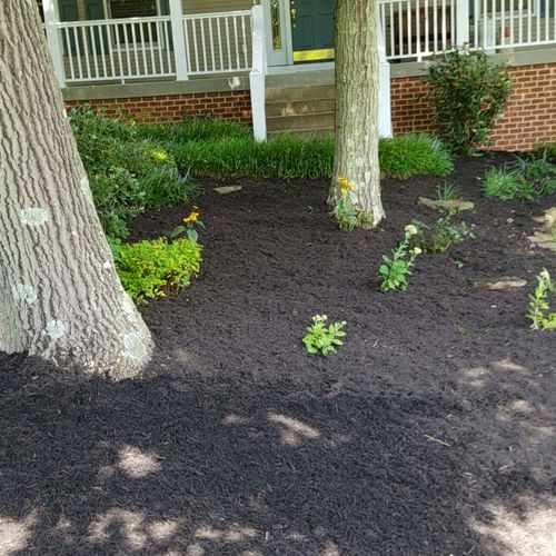 landscaping we do mulch grass walls banks what eve