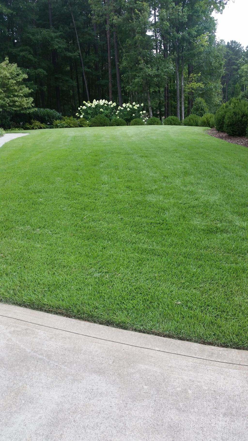 Mowing and lawn treatments 
