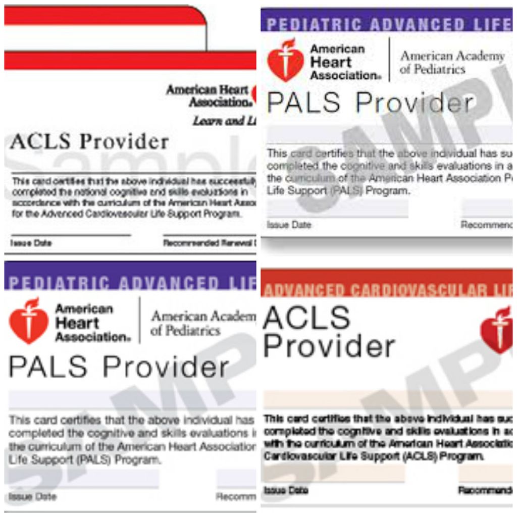 Sample ACLS and PALS card you will receive after t