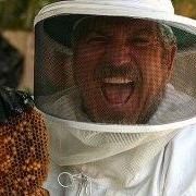 Willie the Bee Man