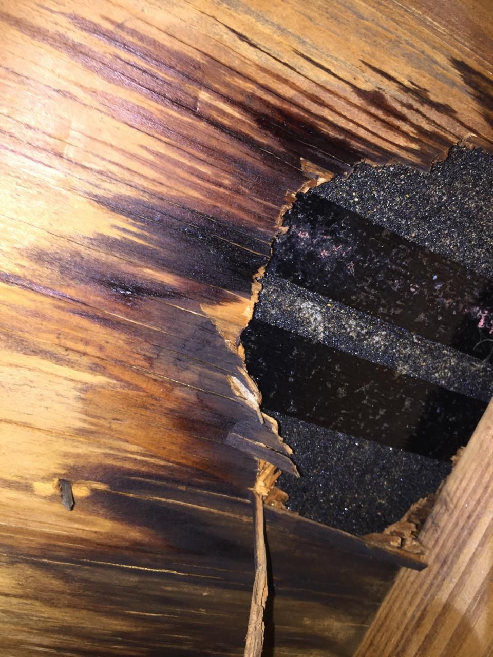 Things you find in the attic.

New roof but the ro