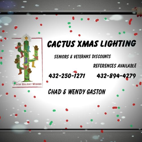 Need Xmas lighting installed, Cactus Xmas lighting