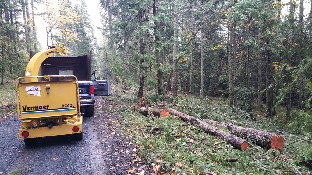 I don't prefer trees to be cut but when it happens