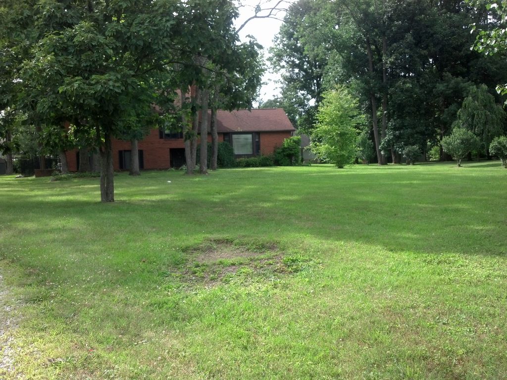 We offer mowing for small or large yards- we take 