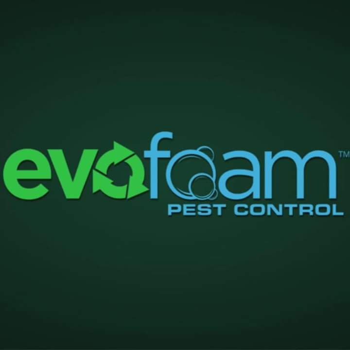 Evo Foam Pest Control