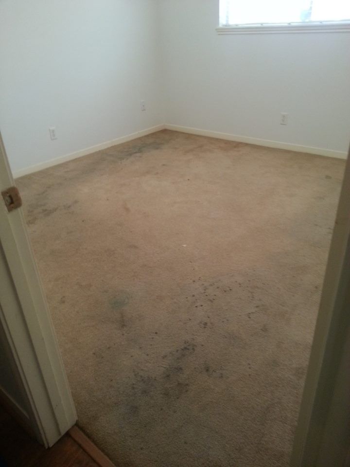 Before Deep Cleaning