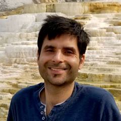 pro avatar