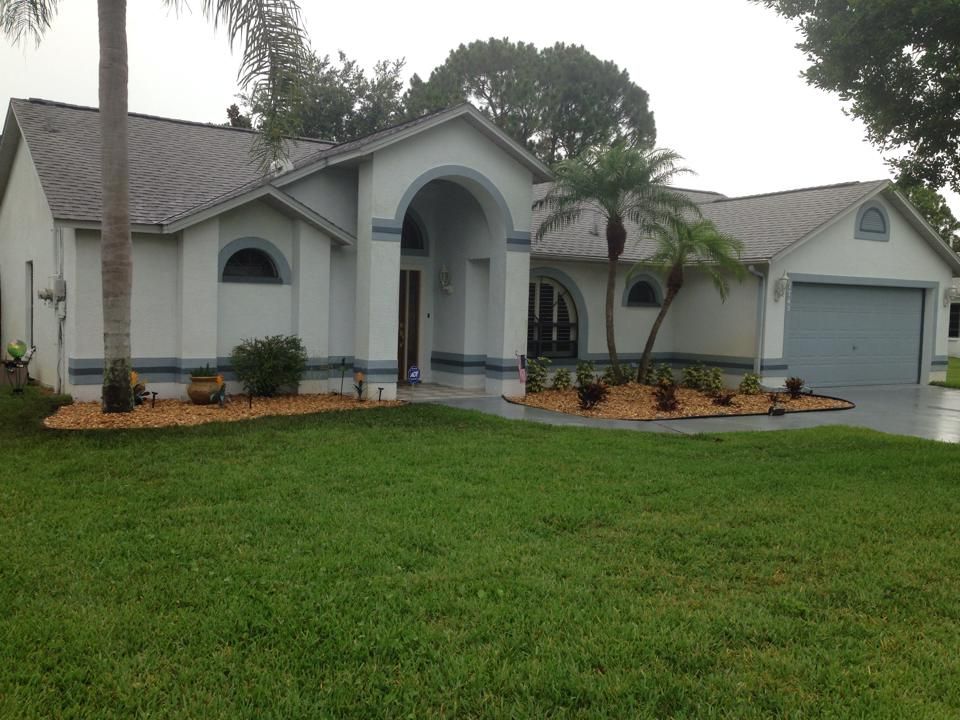 Created the bed for rock and plants!