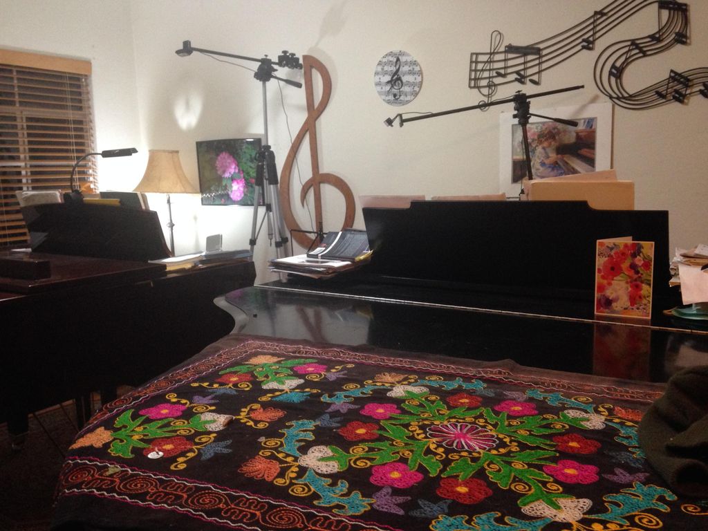 Private studio, and webcam location for Online les
