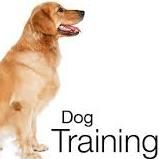 Guaranteed Dog Training "Smart Start Puppies"