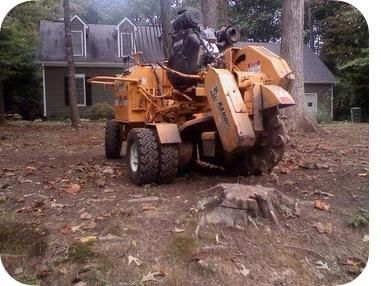 Services - Stump Grinding