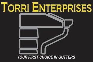 Torri Enterprises, Inc.