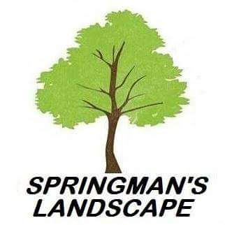 Springman's Landscape