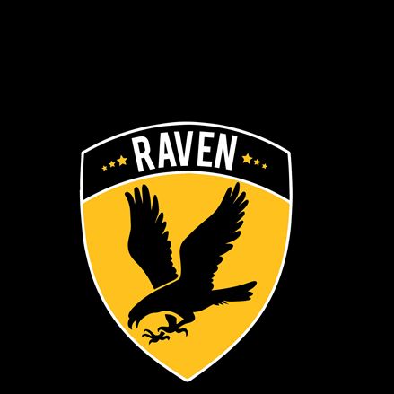 Raven Protection Services