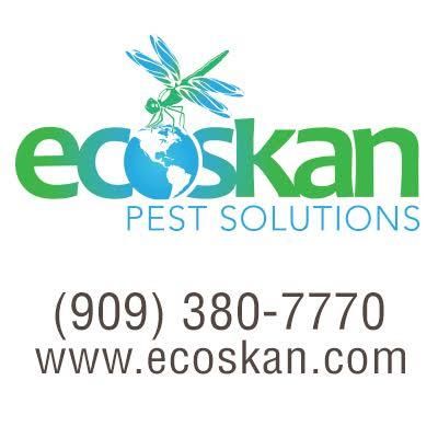 Ecoskan Pest Solutions
