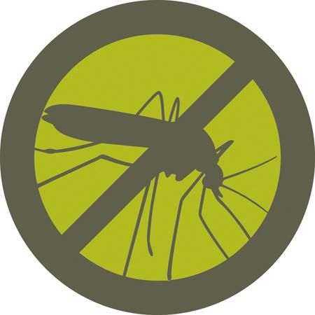 No Bugs. No Bites. No Kidding.
