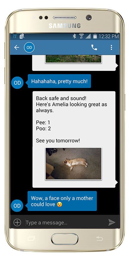 Get live picture updates during each walk!