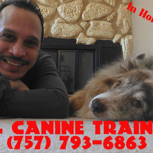 J.C. Canine Training
