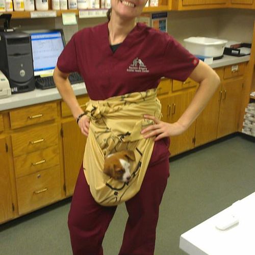 A puppy papoose i made for one of my patients! He 
