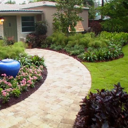 Argemi Lawn Care and Maintenance