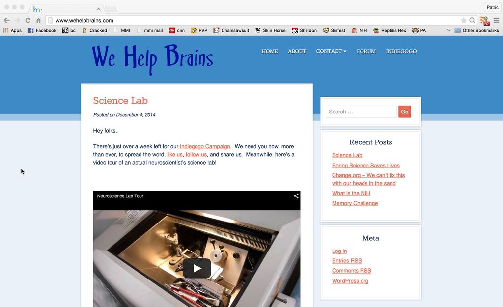 Website design for www.wehelpbrains.com