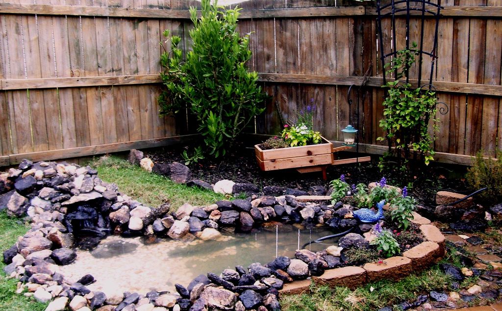 Pond project By Heagle's