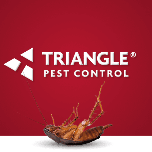 Local and Trusted Pest Control in Charlotte, NC
