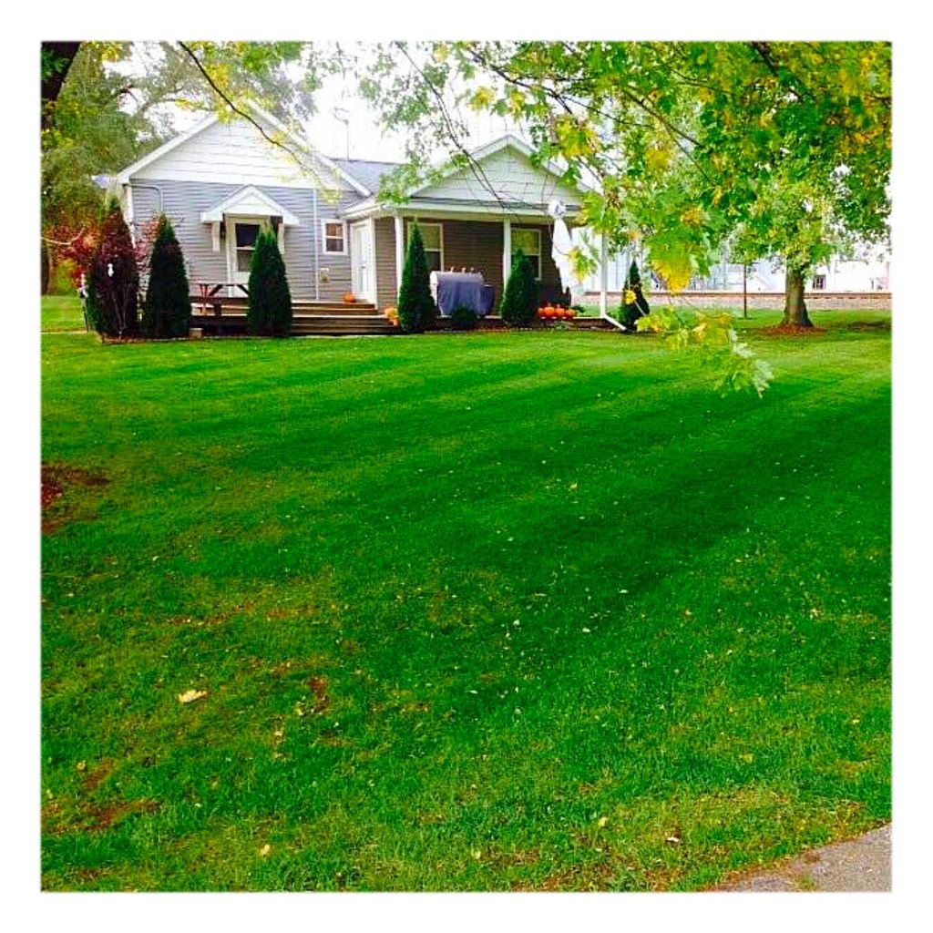 Weekly and bi-weekly lawn maintenance