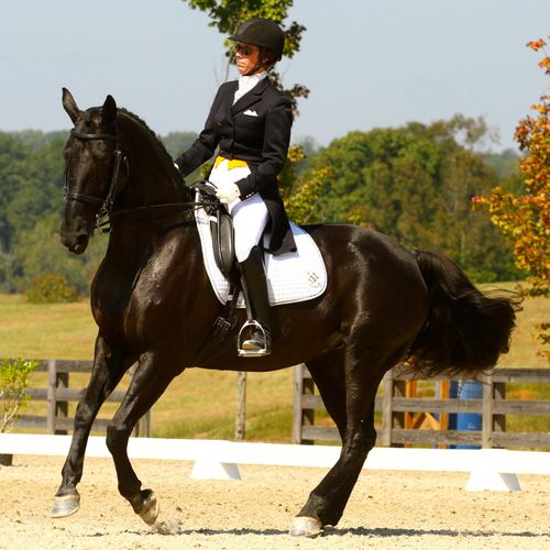 Cindy and Hosanna competing at FEI level.