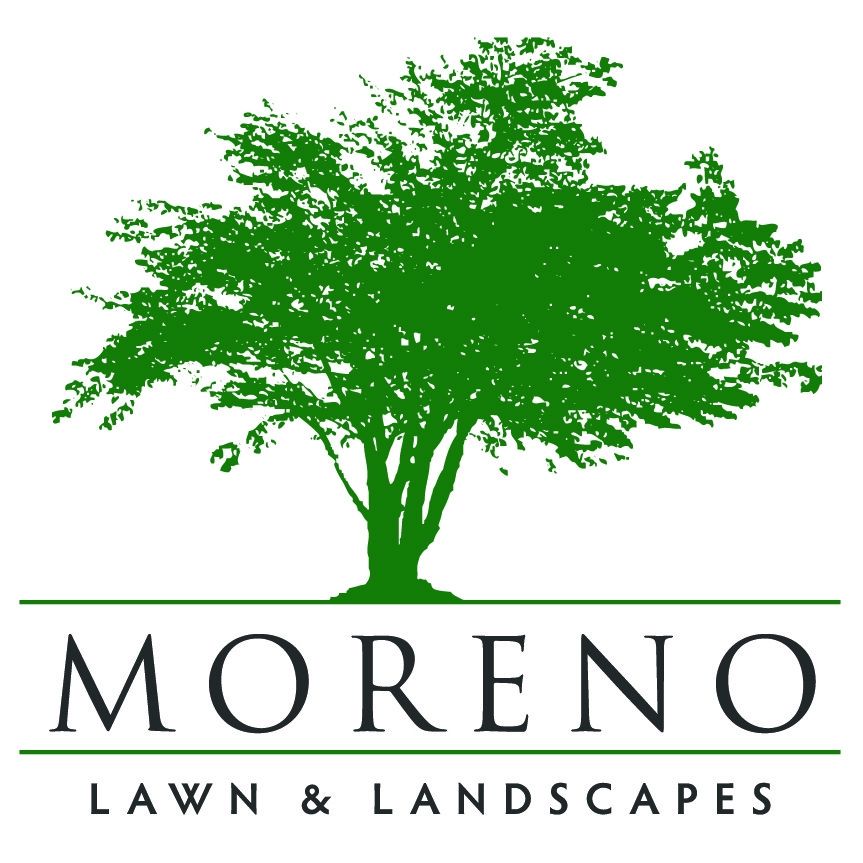 Moreno Curb Appeal