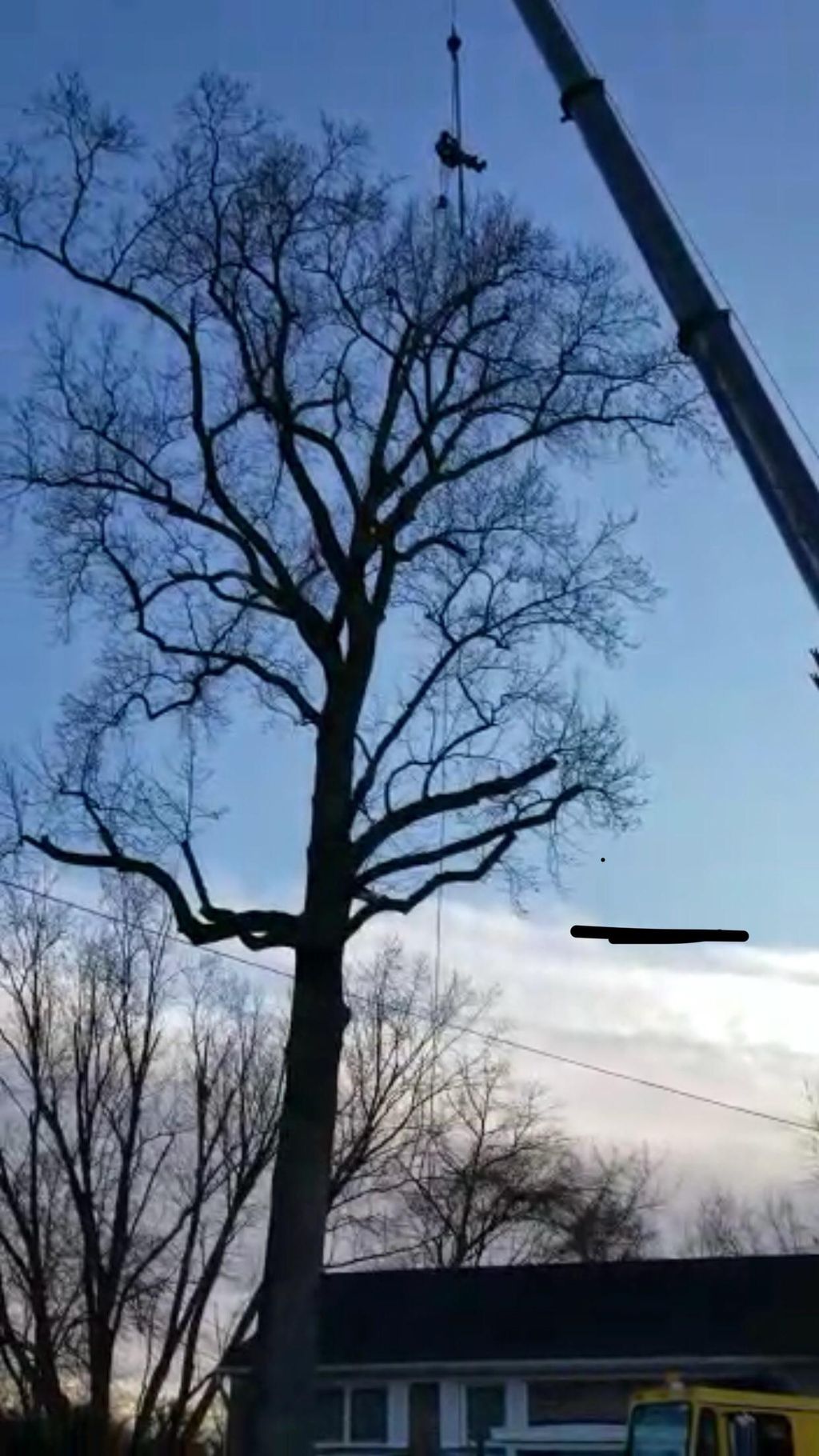 Working on trees with a crane