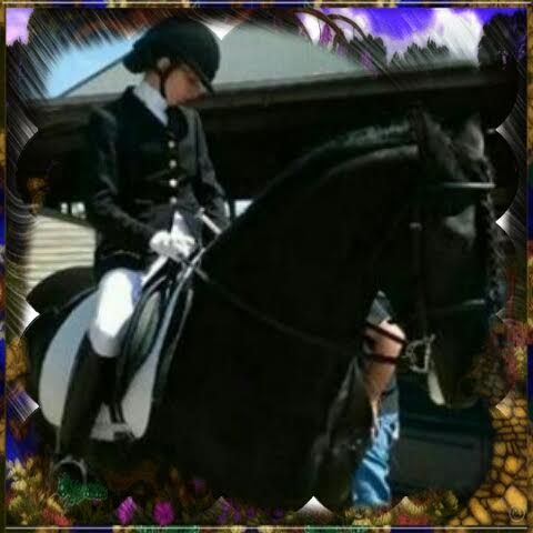 Dressage Competition. Getting ready to enter.