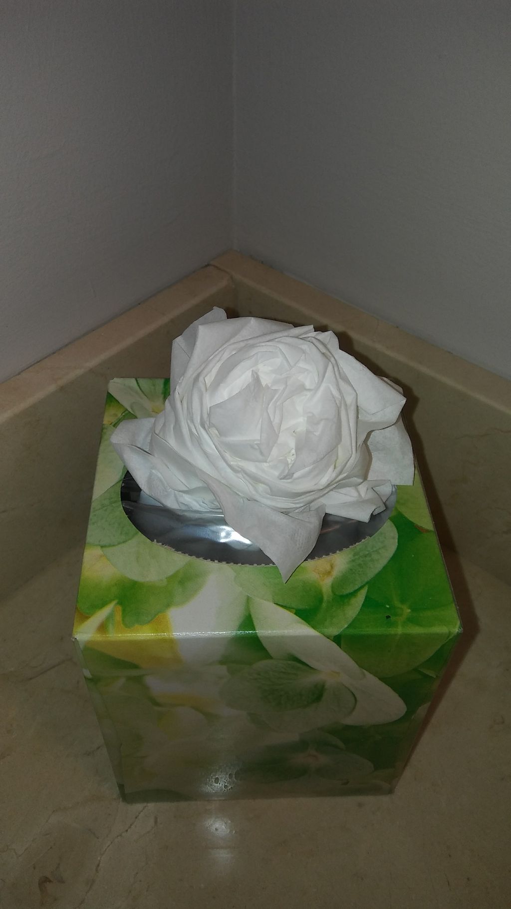 a rose for you